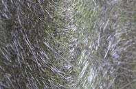 Thorley Houses fibreglass roof work